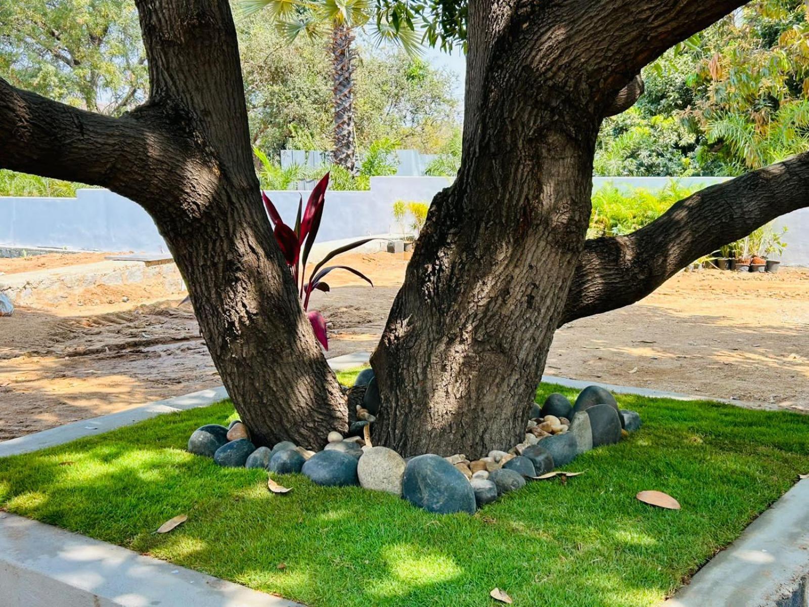 Hampi Village Resort & Tutti Cafe Экстерьер фото