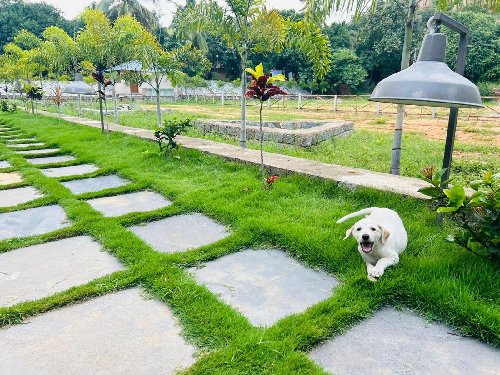 Hampi Village Resort & Tutti Cafe Экстерьер фото
