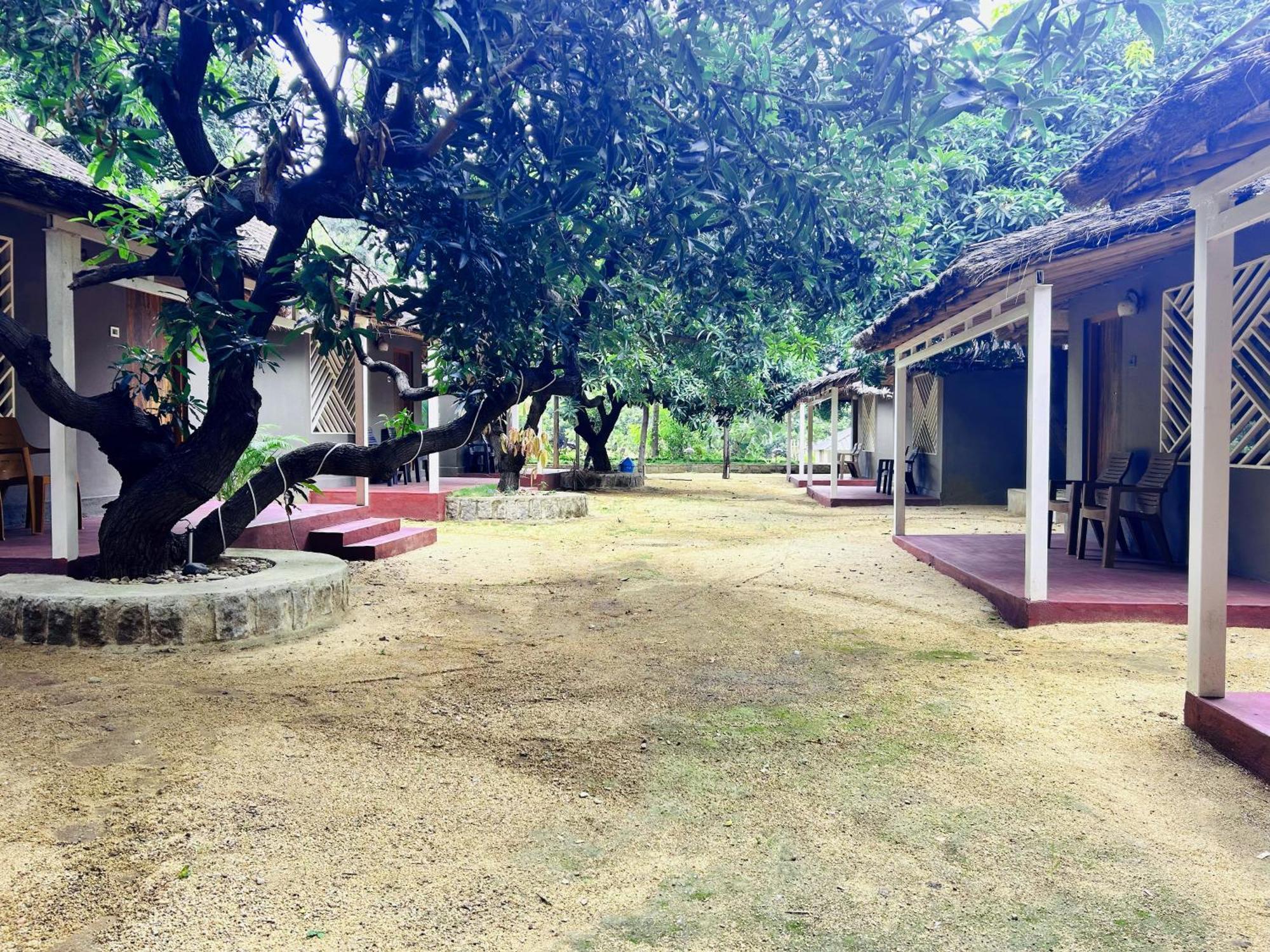 Hampi Village Resort & Tutti Cafe Экстерьер фото